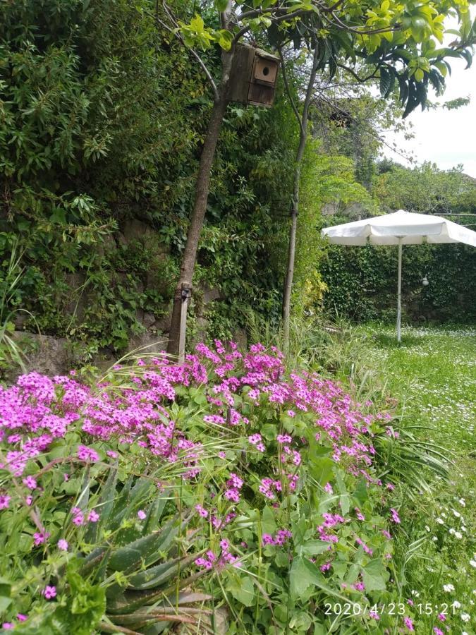 Apartamentos & Casa Rural Boada Con Jardin Interior Y Barbacoa Villamiel Екстер'єр фото